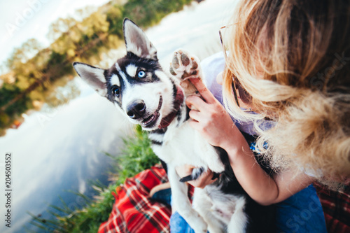 husky black and white color with a different eyes color and with raised paw sits in the hands of the girl near the river in the summer