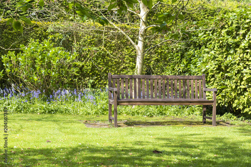 Lone garden bench set in a tranquil corner of a garden. Lone garden bench set in a tranquil corner of a garden.