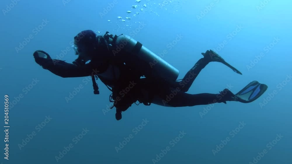 Female scuba diver swims in blue water, Indian Ocean, Maldives
Female scuba diver swims in blue water, Indian Ocean, Maldives