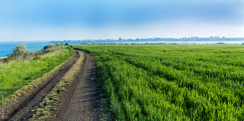 Field scene an its landscape