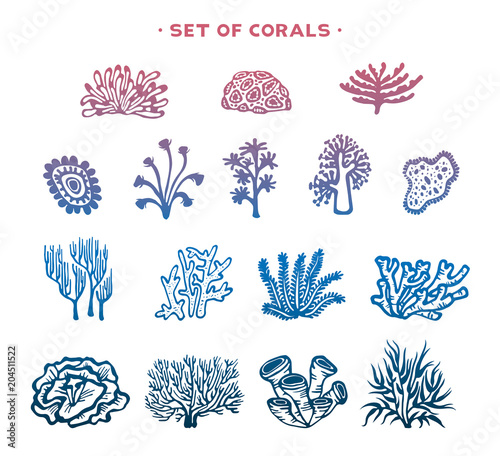 Set of vector corals.