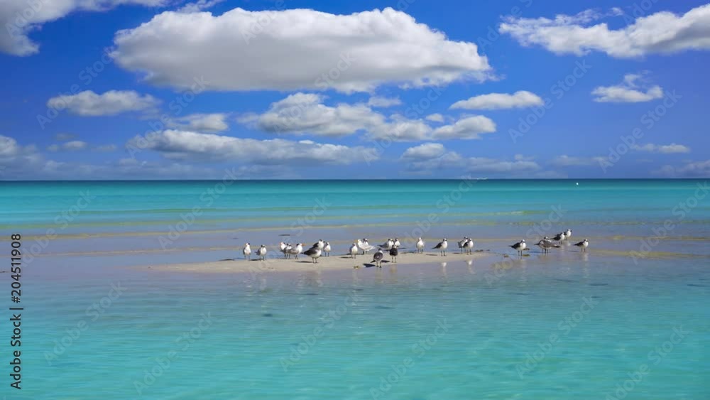 Holbox island beach in Caribbean Mexico Holbox island beach in Caribbean Mexico
