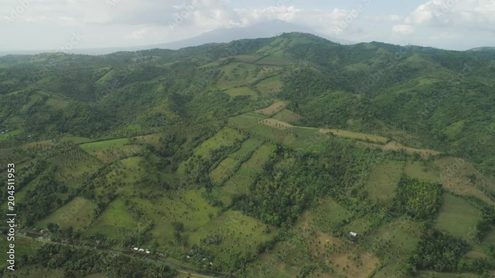 Aerial view of palm trees and agricultural land on the slopes of the mountains. Mountains covered forest, trees. Luzon, Philippines. Aerial view of palm trees and agricultural land on the slopes of the mountains. Mountains covered forest, trees. Luzon, Philippines.