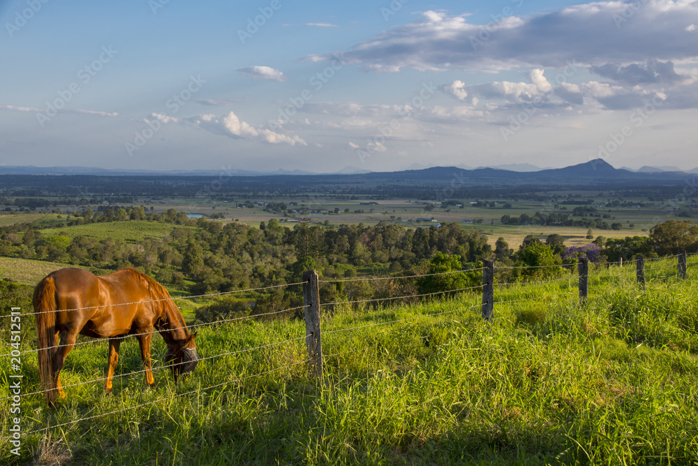 Scenic Rim in Queensland, Australia with horse