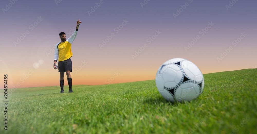 Goalkeeper soccer player and football on grass