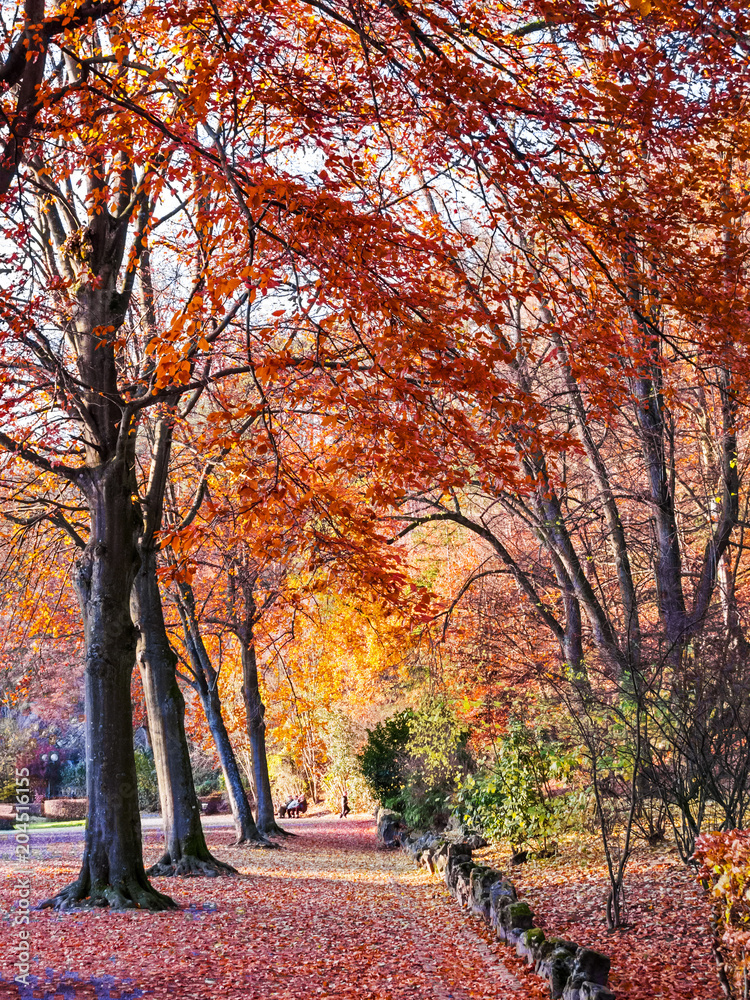 Parc de Sept Heures in autumn, at Spa, Belgium