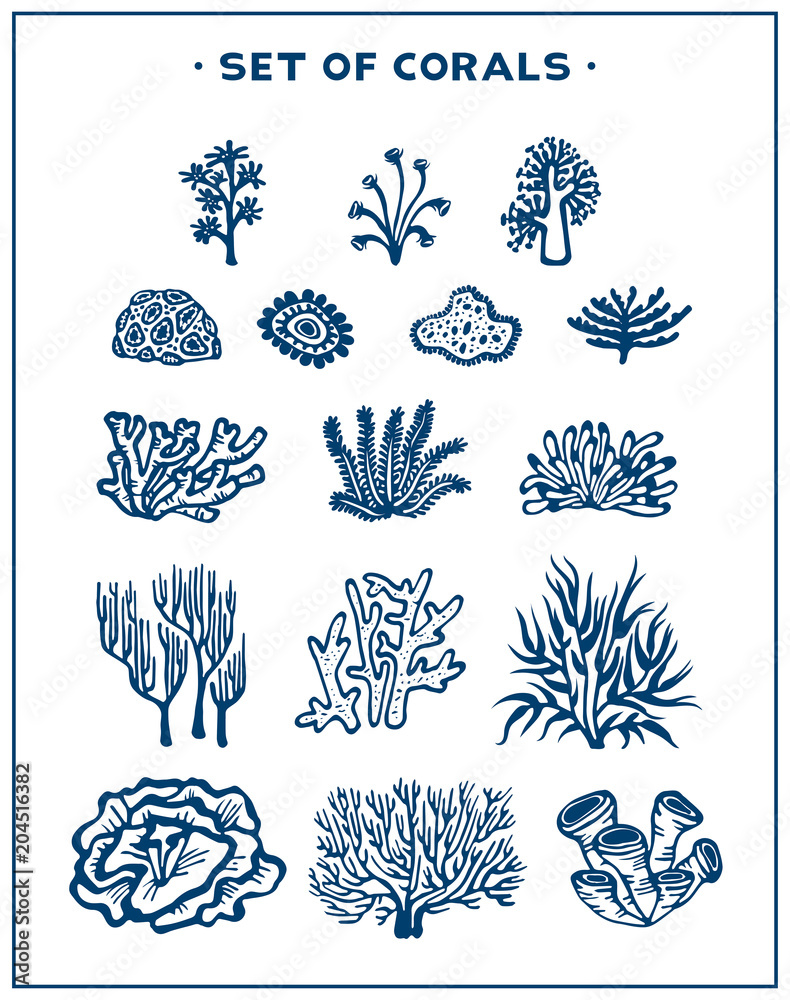 Naklejka premium Set of vector corals.