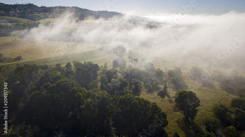 Aerial drone view of a foggy morning in the Scenic Rim  Queensland  Australia