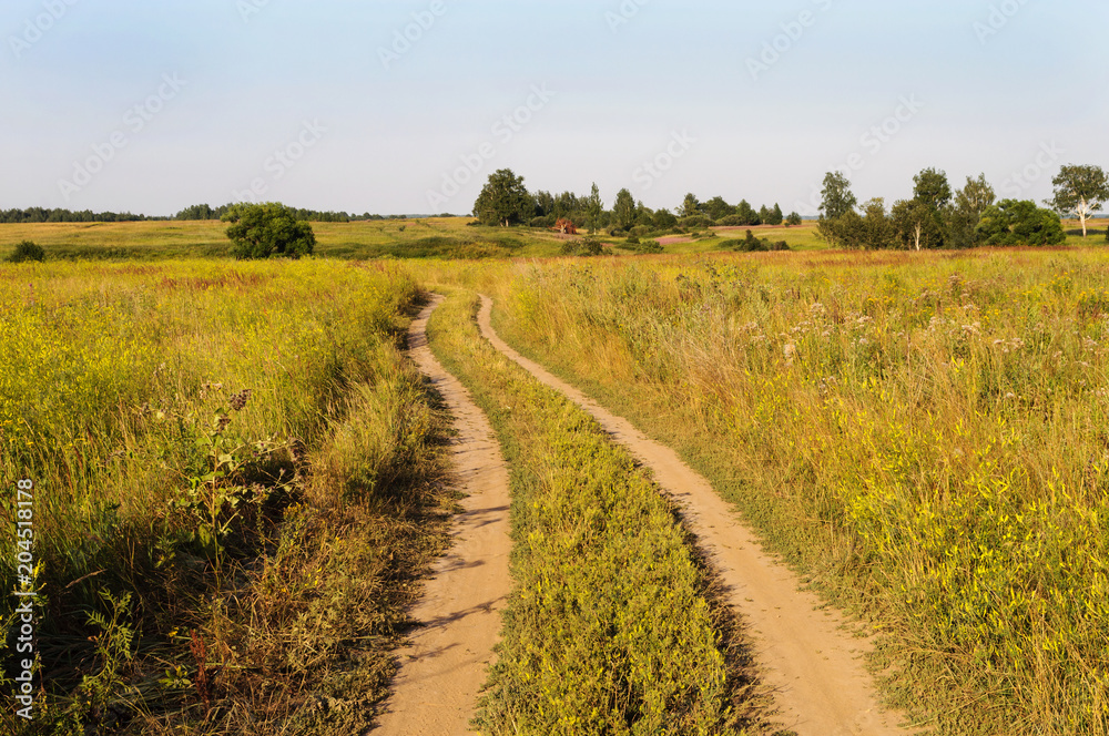 Dirt road across the meadow