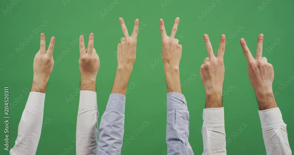 The V-sign The V-sign