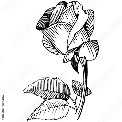 Wildflower rose flower in a vector style isolated. Vector wildflower for background, texture, wrapper pattern, frame or border.