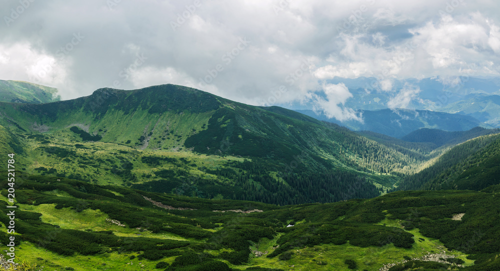 Beautiful view of the green hills and clouds in the Carpathian Mountains