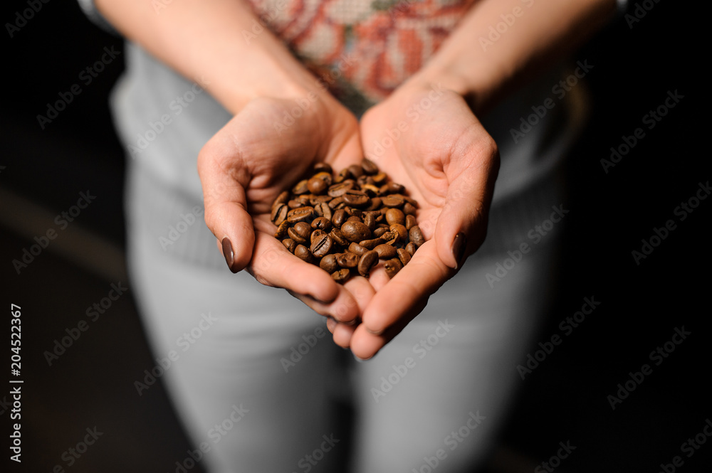 Barista girl holding in her hands hollow of coffee grains Barista girl holding in her hands hollow of coffee grains