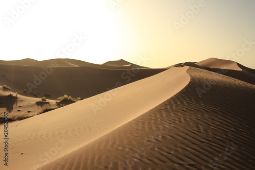 Sunset over the sand dunes in the Sahara desert, Morocco, Africa.