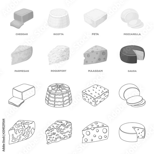 Parmesan, roquefort, maasdam, gauda.Different types of cheese set collection icons in outline,monochrome style vector symbol stock illustration web.