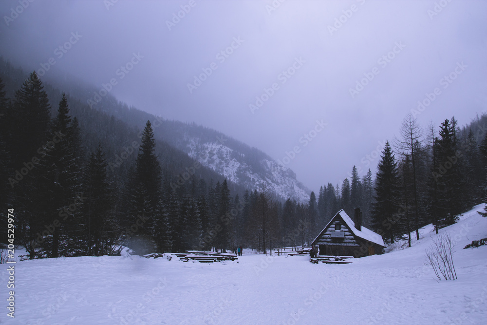 Dark gloomy scary  mountain winter landscape with coniferous forest in fog and lonely wooden house on gray sky background