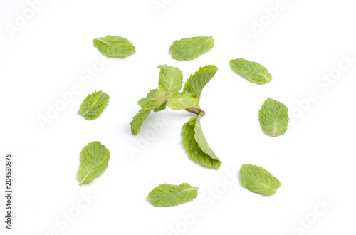 Fresh mint isolated on white background
