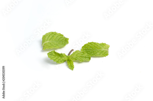 Fresh mint isolated on white background