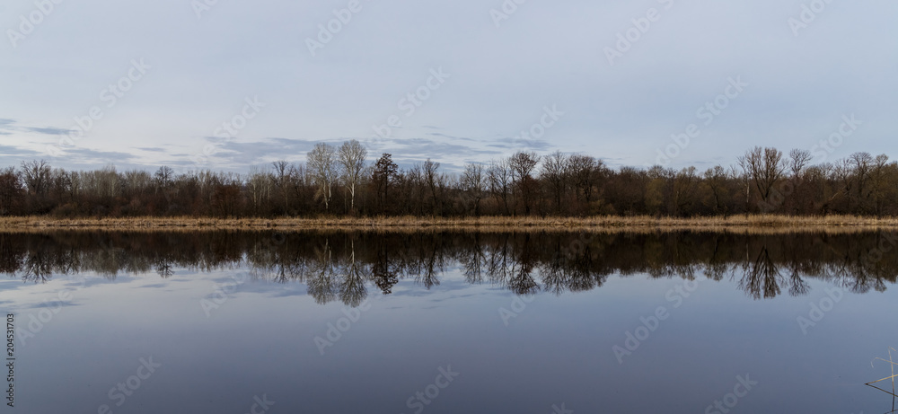 The sky and the forest are reflected in the water.