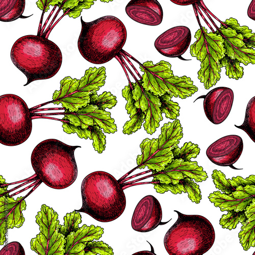 Vector hand drawn seamless pattern of beetroot whole and sliced with haulm. Colored illustration. Farm vegetables. Engraved art. Organic sketched objects. Restaurant, menu, grocery, market store.