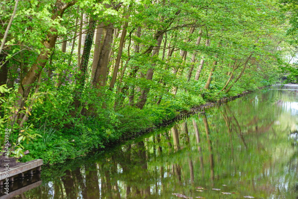 beautiful and calm landscape of green trees reflecting in the lake beautiful and calm landscape of green trees reflecting in the lake