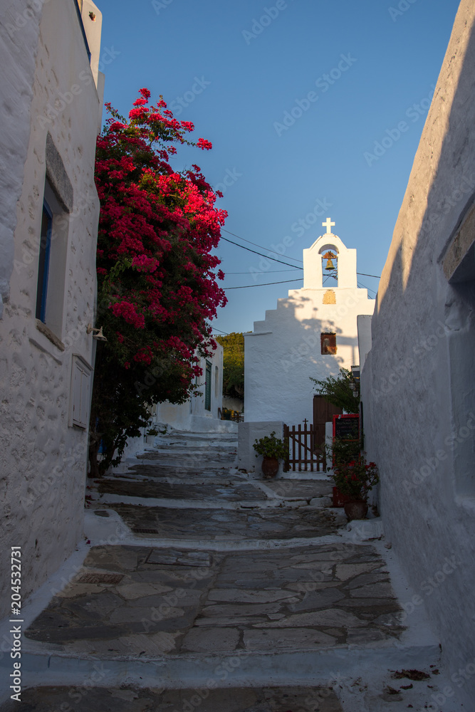 One of the many, white, narrow streets of Amorgos, with beautiful pink flowers