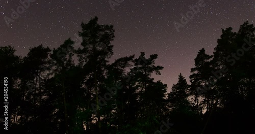 Time lapse of starry night sky moving in the background of forest trees with moon rising at the end and illuminating the landscape