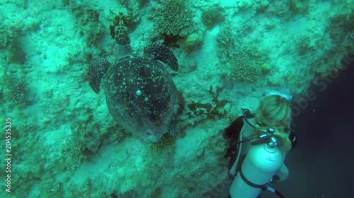 Young beautiful woman scuba diver with sea turtle climb to the surface along a coral reef - Indian Ocean, Maldives
 photo