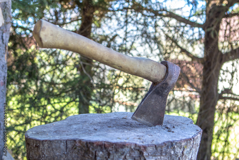 ax against the background of the forest ax against the background of the forest