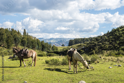 Horse Riding around the City of Cusco