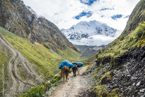 Salkantay Trekking Peru the road to Machu Pichu