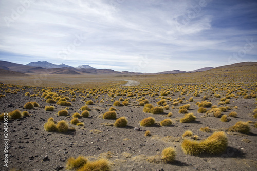 Laguna Colorada in Bolivia