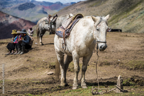 Horse Riding to Rainbow Mountain Peru and back © Peto
