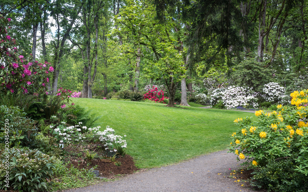 Obraz premium Hendricks Park