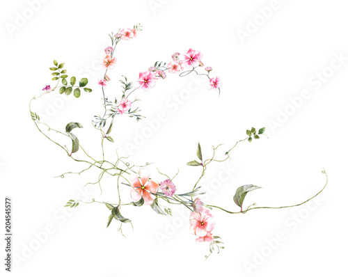 watercolor painting of leaves and flower, on white background