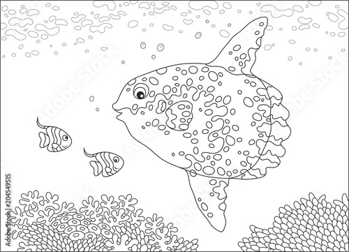 Big fish-moon and small butterfly fishes swimming over corals of a reef in a tropical sea, black and white vector illustration in a cartoon style for a coloring book