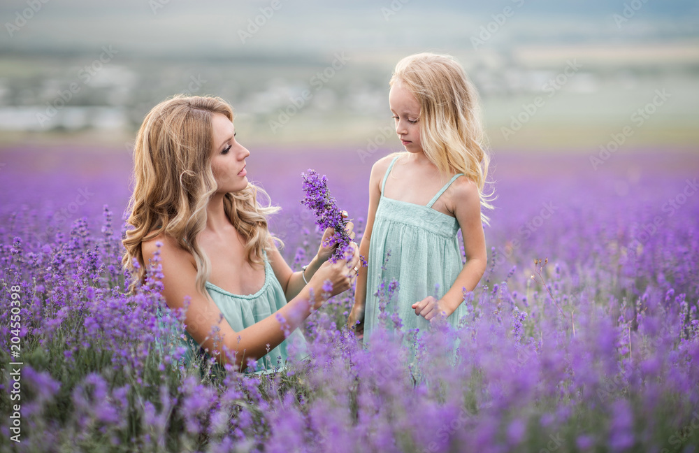 Happy family in a field of lavender Happy family in a field of lavender