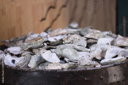 Shellfish from oysters