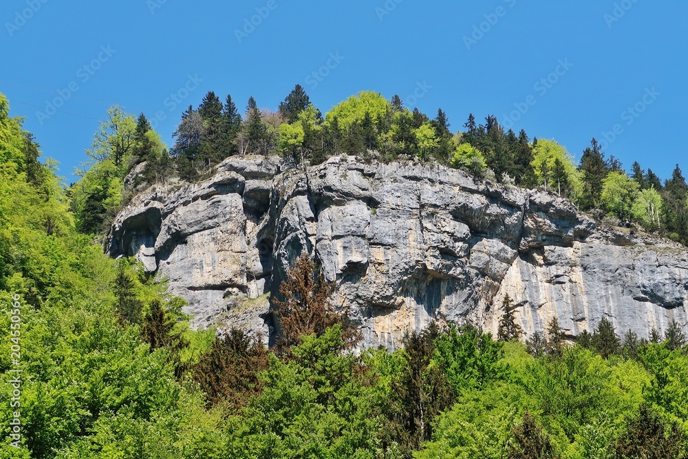 Felswand im Alpstein, Ostschweiz