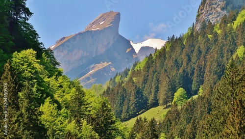 Ageteplatte, Alpstein, Ostschweiz photo