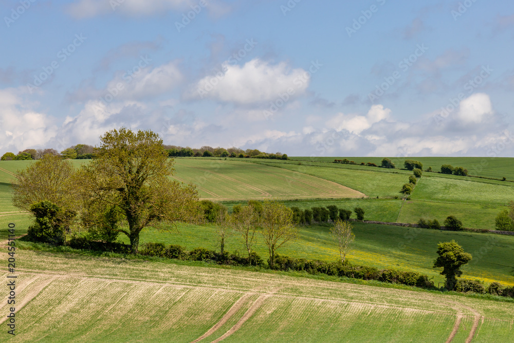 Spring Sussex Landscape