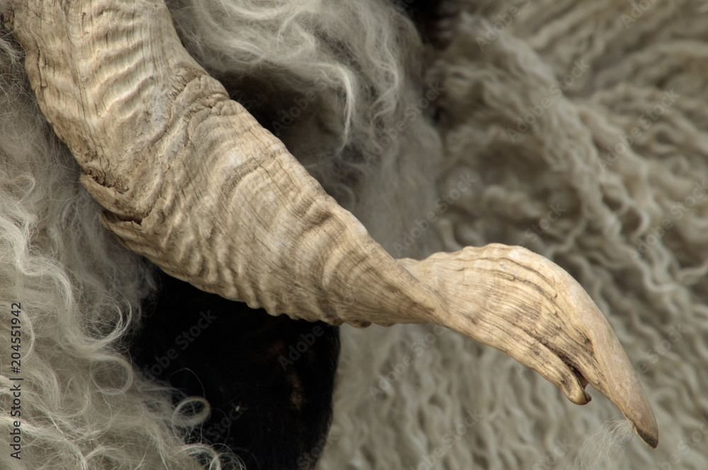 Fototapeta premium Another Twist