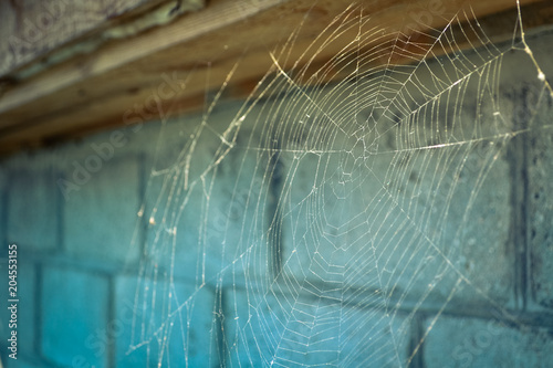 web