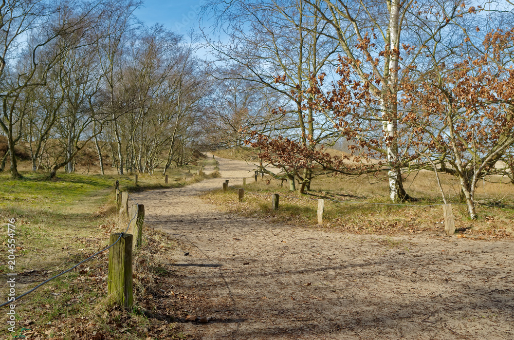 Landscape path to Boberger dunes in nature reserve