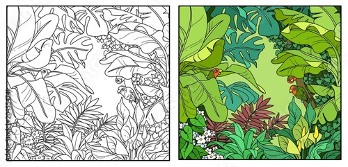 Wild jungle with parrots of the breed rosy-cheeked lovers color and black contour line drawing for coloring on a white background