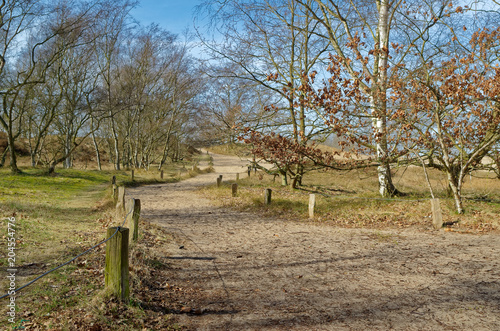 Landscape path to Boberger dunes in nature reserve