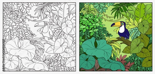 Wild jungle with toucan bird sitting on a log black color and black contour line drawing for coloring on a white background