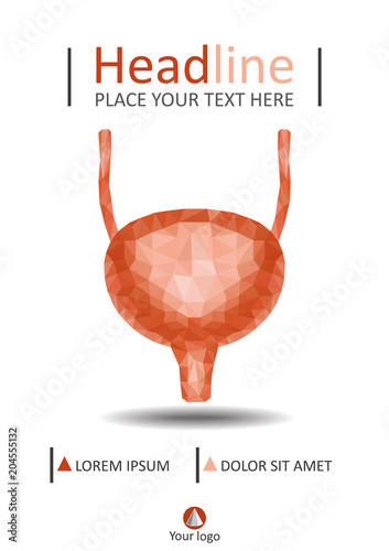 Book cover urinary bladder system with ureter and urethra. Realistic 3d low poly human organ. Annual report. A4 Medical journals, conferences, magazines.