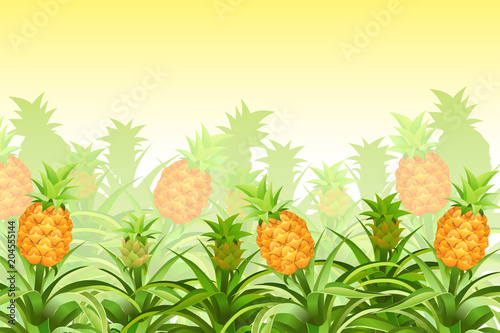 Plantation pineapple tree with fruits. Isolated vector illustration.