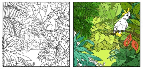 Wild jungle with cockatoo parrot perched on branch color and black contour line drawing for coloring on a white background